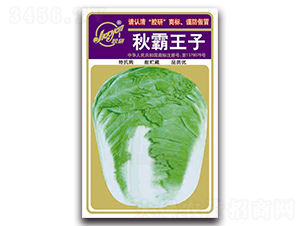 �������-�ﲥ�ײ˷N��-�z��