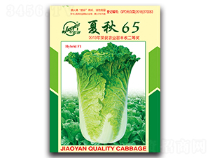 ����65-�ﲥ�ײ˷N��-�z��