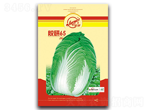 �z��65-�ﲥ�ײ˷N��-�z��