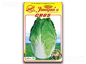 CR65-�ﲥ�ײ˷N��-�z��