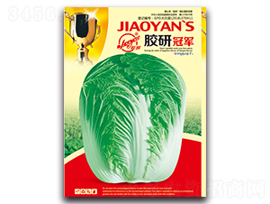 �z�й�܊-�ﲥ�ײ˷N��-�z��