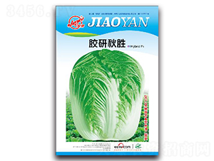 �z�����-�ﲥ�ײ˷N��-�z��