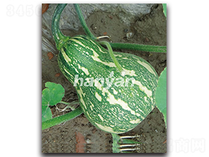 �h��һ̖-�ϹϷN��-�h��