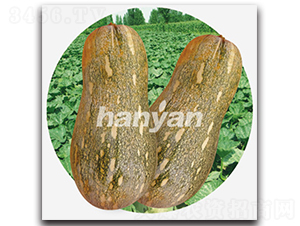 �h��һ̖-�ϹϷN��-�h��