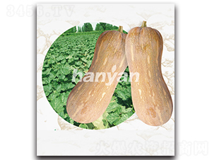 �h����̖-�ϹϷN��-�h��