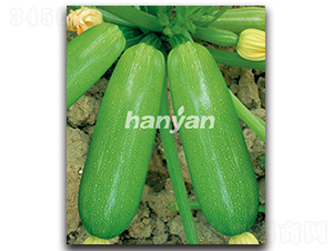 �h�@��ʥ-�����J�N��-�h��