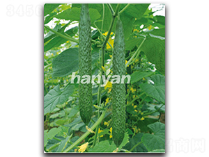 �h��11̖(h��o)-�S�ϷN��-�h��