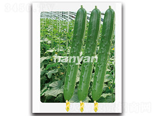 �h��һ̖(h��o)-�S�ϷN��-�h��