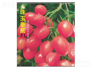 ����-���ѷN��-���N