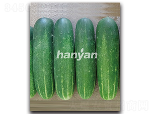 �h��һ̖(h��o)-�S�ϷN��-�h��