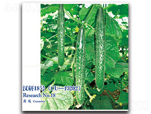 �h��18̖(h��o)�S��-�S�ϷN��-�h��