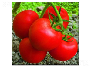 ��ȸ-���ѷN��-���N