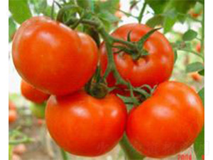 �~��-���ѷN��-���N