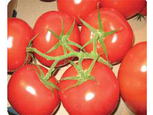 ���A-���ѷN��-���N