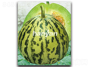 �h����-��ϷN��-�h��