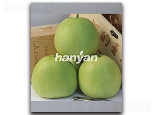 �h������-��ϷN��-�h��