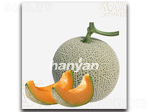 �h�W(w��ng)��̖(h��o)-��ϷN��-�h��