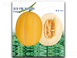 �h���S��-��ϷN��-�h��