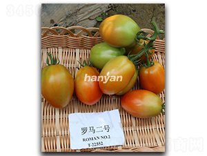 �_�R��̖-���ѷN��-�h��