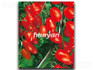 �h�Ѽt��-���ѷN��-�h��