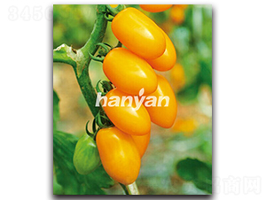 �h�ѽ���-���ѷN��-�h��