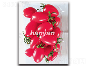 �h�ѷ���-���ѷN��-�h��