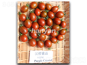 �h���Ͼ�-���ѷN��-�h��