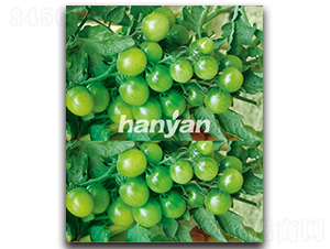 �h�ѾG��-���ѷN��-�h��