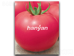 �h����̖-���ѷN��-�h��