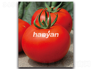 �hӯ��̖(h��o)-���ѷN��-�h��