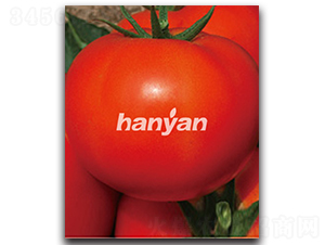 �hӯ��̖(h��o)-���ѷN��-�h��