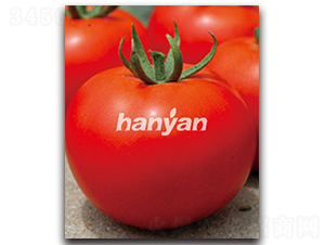 �hӯ��̖-���ѷN��-�h��