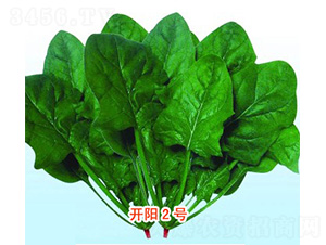 �_�2̖-���˷N��-���N