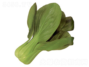 ����-�๣�˷N��-���N