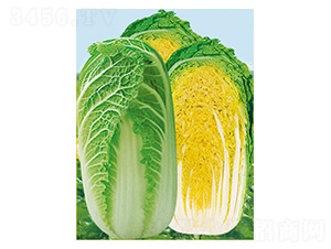 ����3̖-�ײ˷N��-���N