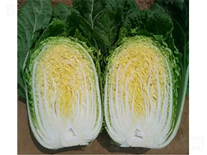 ȫ��1̖-�ײ˷N��-���N