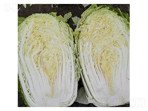 ȫ��3̖-�ײ˷N��-���N