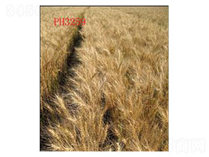 ɽ�r(n��ng)12̖(h��o)-С���N��-���N