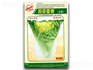 �z�����\��̖-�Ĳ��ײ˷N��-�z��