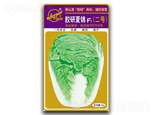 �z�����\F1����̖��-�Ĳ��ײ˷N��-�z��