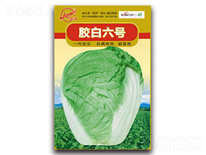 �z����̖-�Ĳ��ײ˷N��-�z��