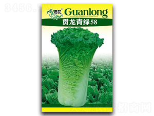 ؞����G58-�t�ײ˷N��-�����N�I(y��)