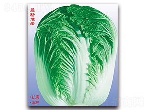 �����￹��-��ײ˷N��-�����N�I(y��)