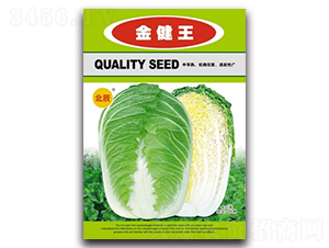 ����-��ײ˷N��-�����N�I(y��)