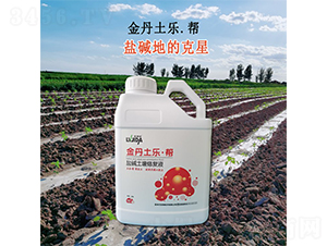 �}�A�����ޏ�(f��)Һ-����������-������