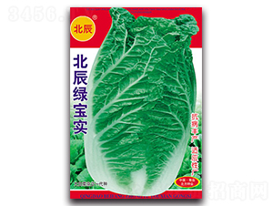 �����G����-��ײ˷N��-�����N�I(y��)