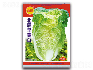 �������S��-��ײ˷N��-�����N�I(y��)