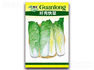 �w����-��˷N��-�����N�I(y��)