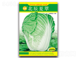 �����Ĵ�-��ײ˷N��-�����N�I(y��)