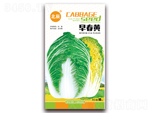 �紺�S-��ײ˷N��-�����N�I(y��)